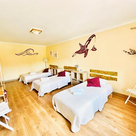 Pensión Ocean Tree Ferrel