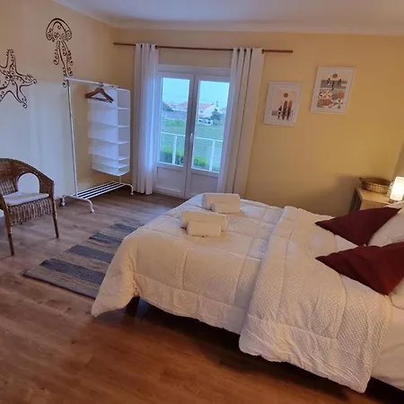 Ocean Tree Ferrel Serra d'El-Rei