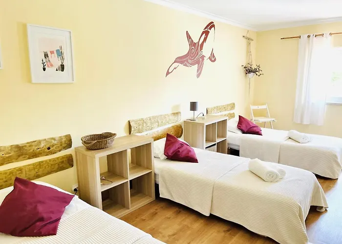 Ocean Tree Ferrel 4*